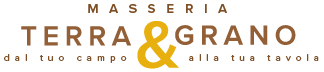 Logo {{ platform|title }}